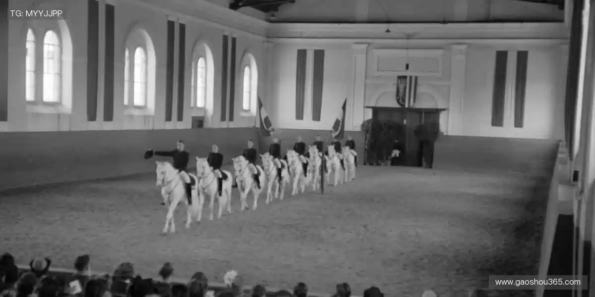 🚀一键直击,精彩永不缺席!🏉