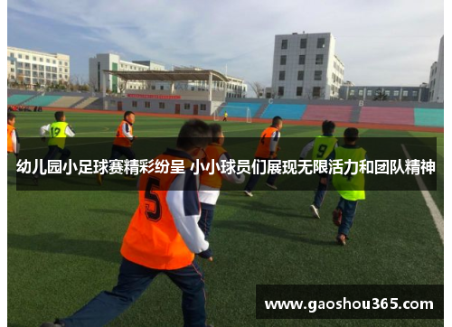 幼儿园小足球赛精彩纷呈 小小球员们展现无限活力和团队精神